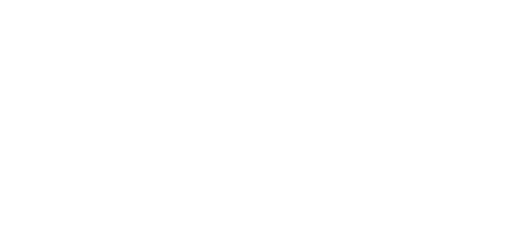Vitória Nardin, médica veterinária